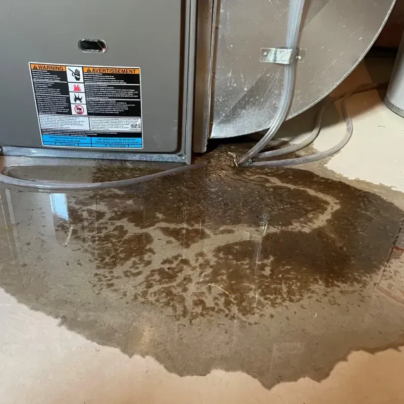 Appliance Leak Cleanup in Tippecanoe County, IN